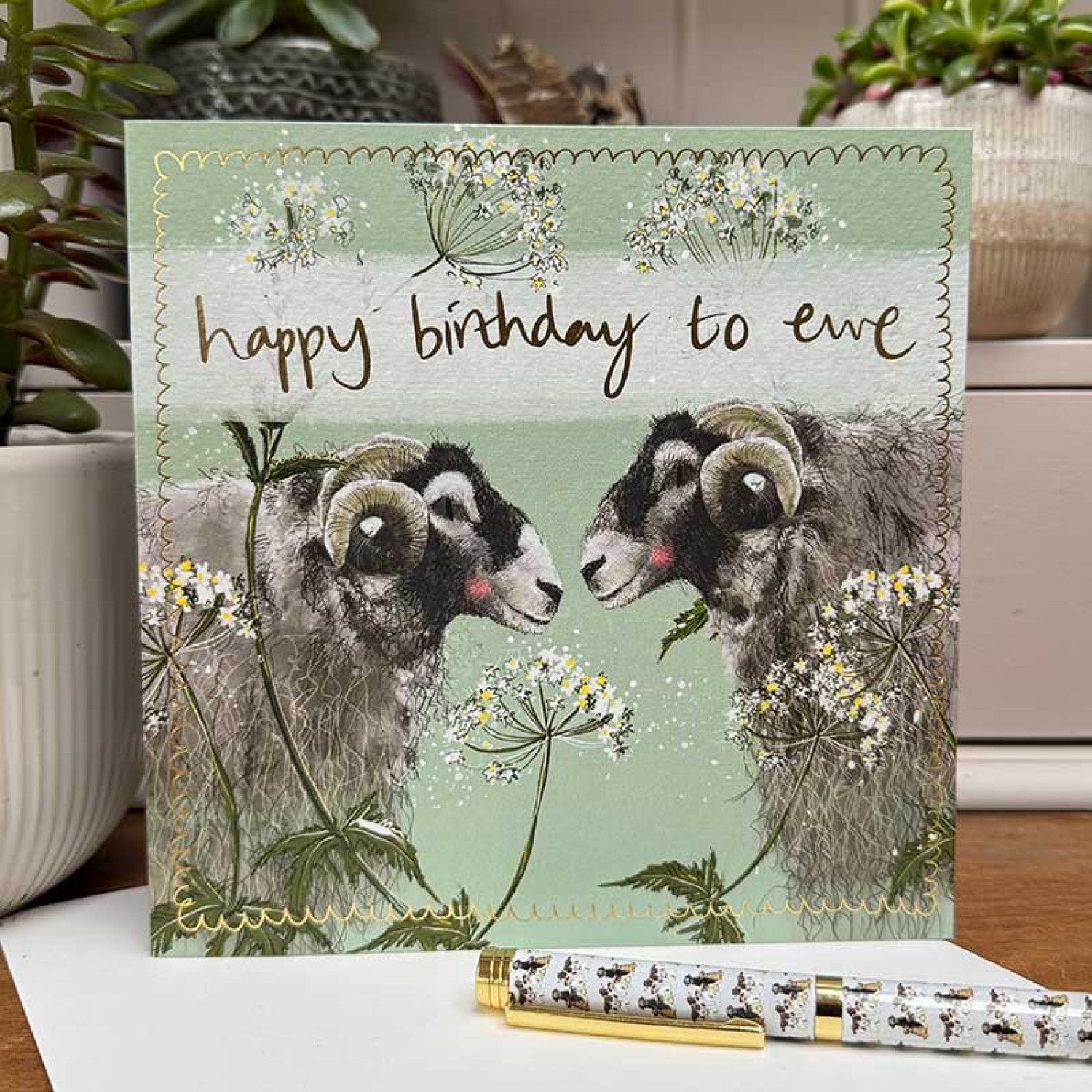 Happy Birthday to Ewe - Alex Clark cards