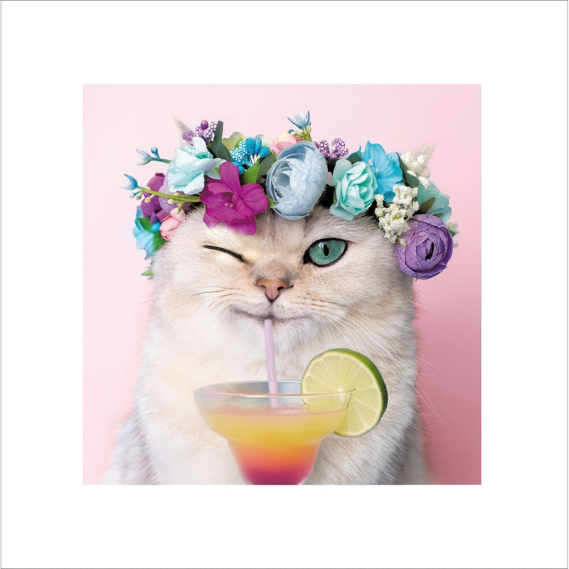 Cocktail Cat - Blank card