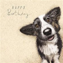 For animal lovers of all kinds this range of Birthday cards features all kinds of furry friends. This one has a lovely sketch of the cutest border collie dog, set against a parchment coloured background. The text on the front of the card reads "Happy Birthday".