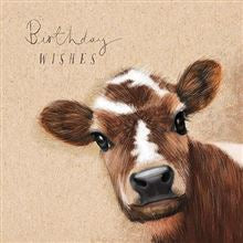 For animal lovers of all kinds this range of Birthday cards features all kinds of animals. This one has a lovely sketch of a wide eyed cow against a parchment coloured background. The text on the front of the card reads "Birthday wishes".