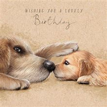 For animal lovers of all kinds this range of Birthday cards features all kinds of furry friends. This one has a lovely sketch of an adult dog with it's paw on the head of a puppy, all against a parchment coloured background. The text on the front of the card reads 