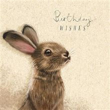 For animal lovers of all kinds this range of Birthday cards features all kinds of animals. This one has a lovely sketch of an inquisitive hare against a parchment coloured background. The text on the front of the card reads "Birthday wishes".
