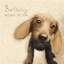 For animal lovers of all kinds this range of Birthday cards features all kinds of furry friends. This one has a lovely sketch of the cutest brown puppy dog, set against a parchment coloured background. The text on the front of the card reads "Birthday wishes to you".