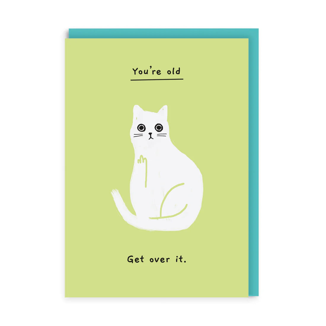 You’re old - Ken the cat birthday card