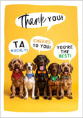 Thank You card -dogs