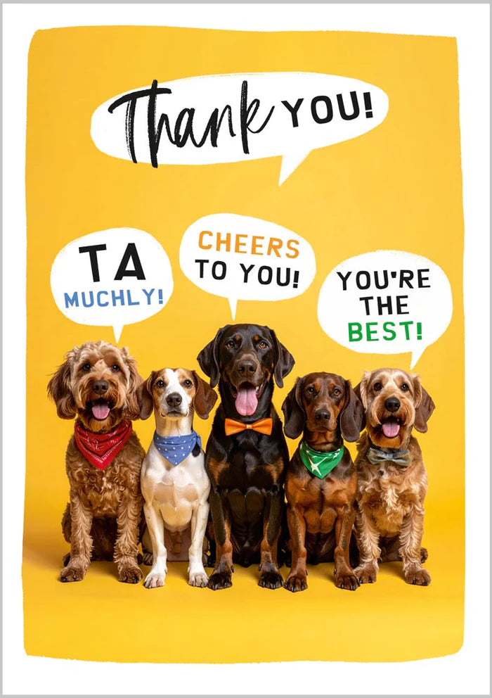 Thank You card -dogs