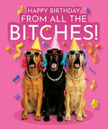 From All The B*tches! - funny blank card