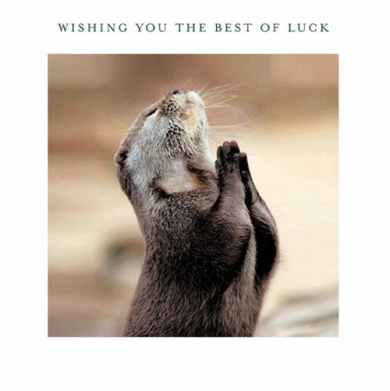 Otter- good luck Card