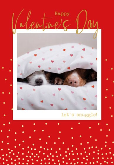 Let's snuggle - Valentine's Day card