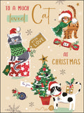 To a Much Loved Cat - Christmas Card
