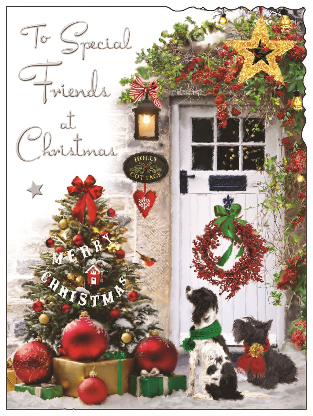 Special Friends (front door) - Christmas Card