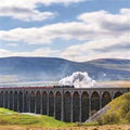 Train & viaduct -  blank card