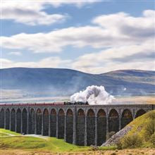 Train & viaduct -  blank card