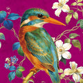 Jewelled Kingfisher
