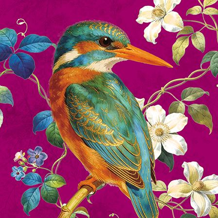 Jewelled Kingfisher