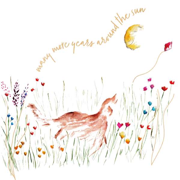 Many more years  inspirational card by Sarah Epsom