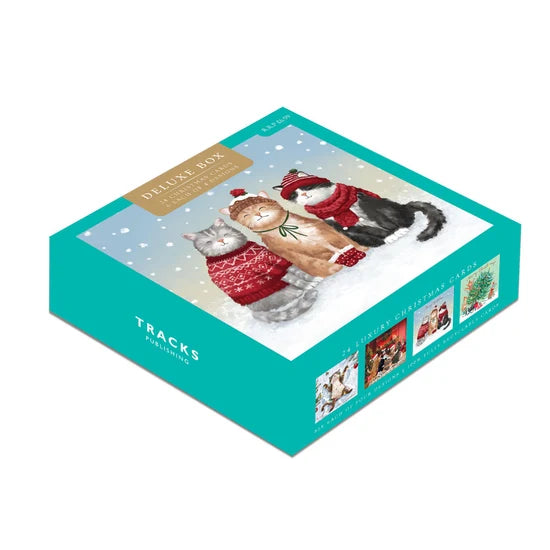 Deluxe box 24 cards, cartoon cats celebrate Christmas