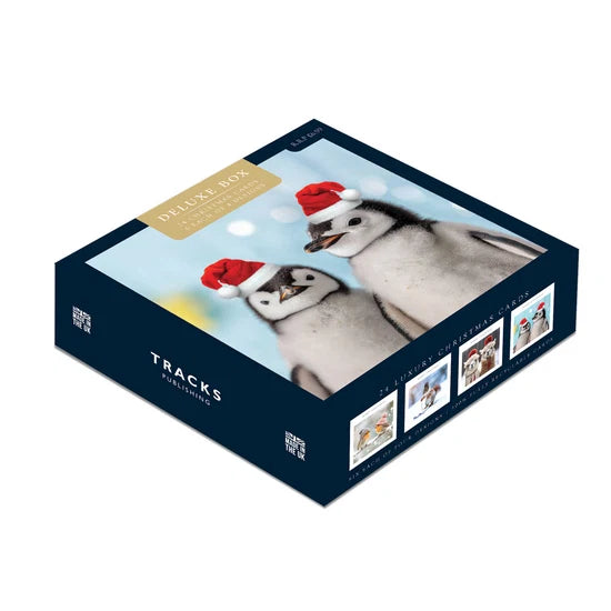 Deluxe box 24 cards, cute penguins  & animals.