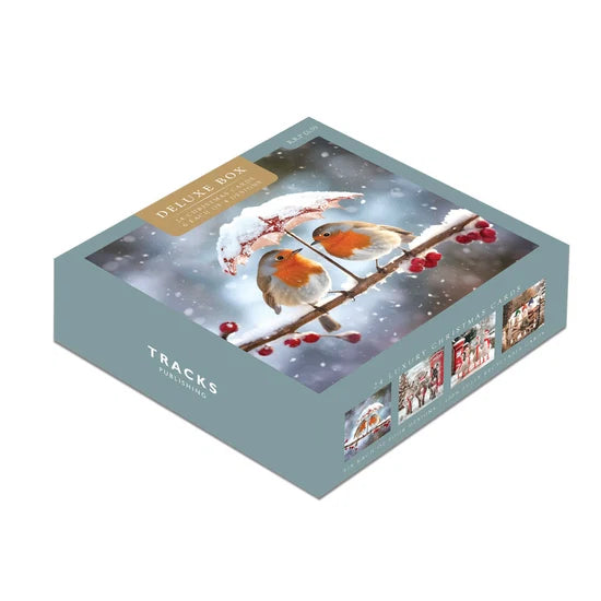 Deluxe box 24 cards, cute robins & animals.
