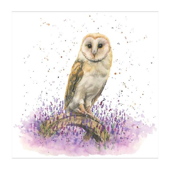 Olivia the owl - Bree Merryn card