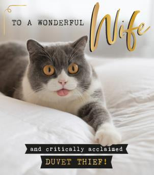 Wonderful wife - Birthday card