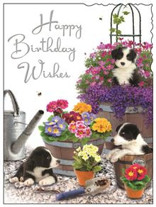 Flower tubs with pups - Jonny Javelin cards