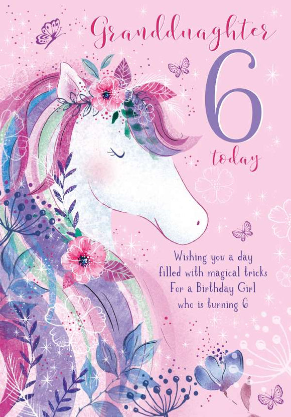 Granddaughter on your 6th Birthday card