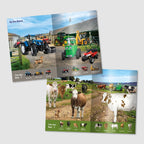 Tractor Ted Look and Find Farm - Book