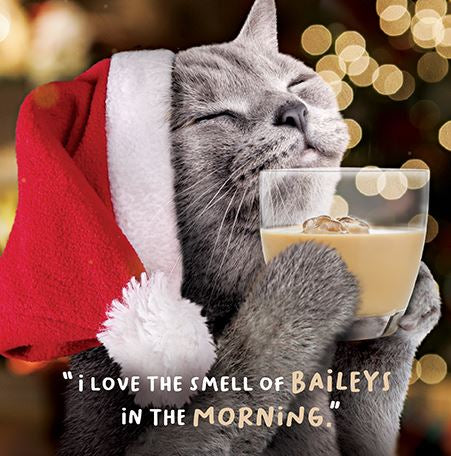 Baileys in the morning - funny Christmas card