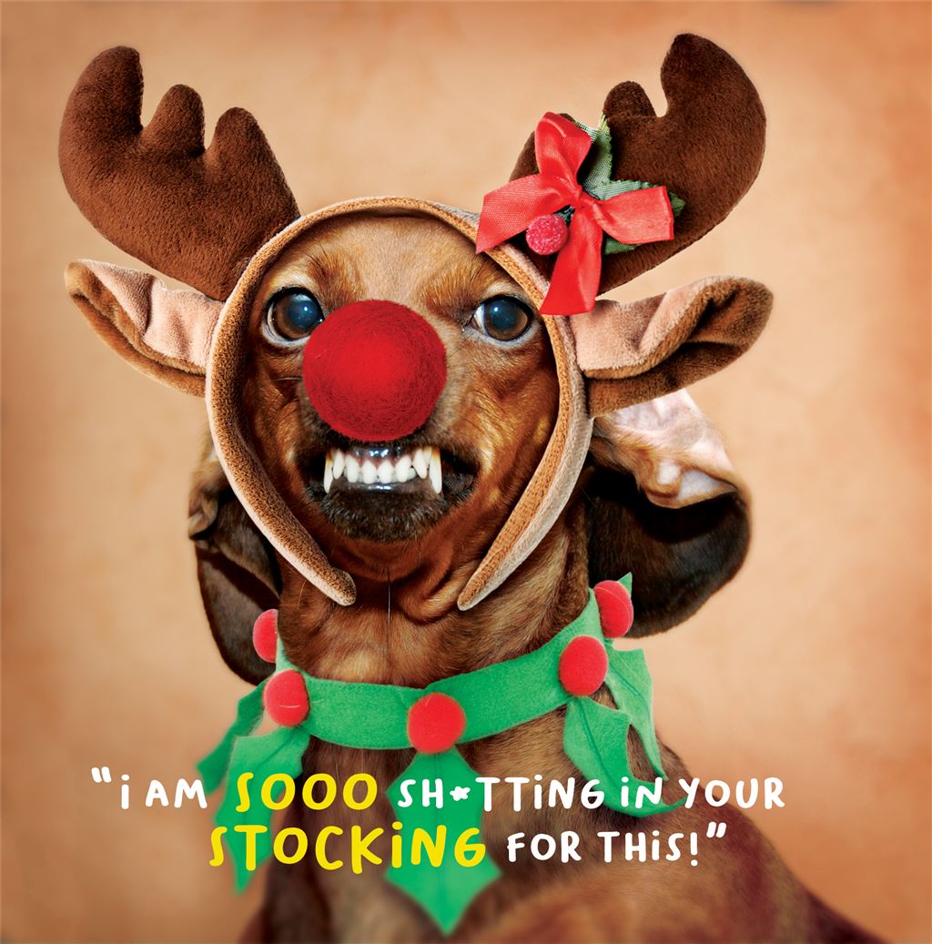 Sh*tting in your stocking- funny Christmas card