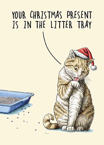 Christmas Present in the Litter Tray