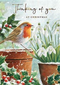 Robin & snowdrops - thinking of you Christmas card