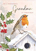 Grandma, robin - Christmas card