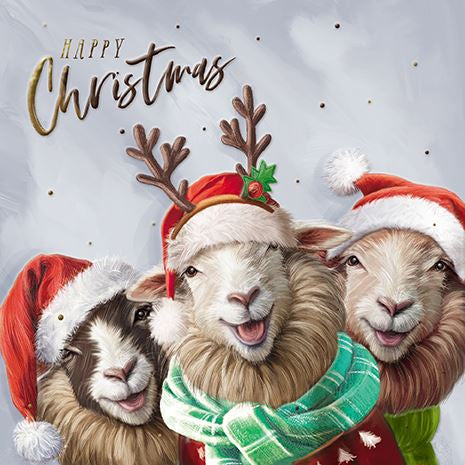 Christmas Sheeps