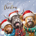 Christmas Highland Cows - Christmas card