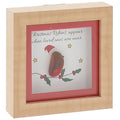 Christmas Robins - Pebble Glass art