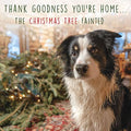 Fainting Christmas tree - Christmas card