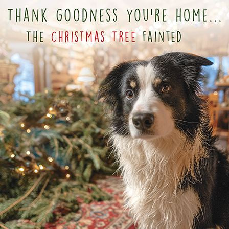 Fainting Christmas tree - Christmas card