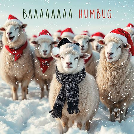 Sheep in Hats and Scarves