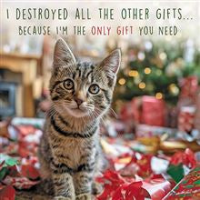 Kitten in Gift Wrap - Christmas card