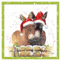 Two donkeys  - Bree Merryn Christmas card