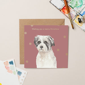 Bella - Street Vet charity Christmas card