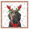 Amos, black lab - Bree Merryn Christmas card