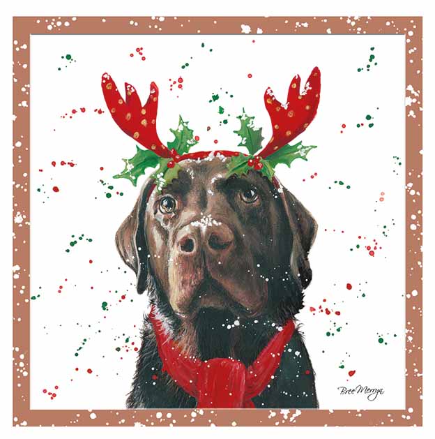 Amos, black lab - Bree Merryn Christmas card