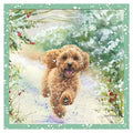 Copper,the cockapoo  - Bree Merryn Christmas card
