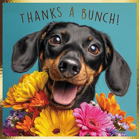 Dachshund  - Thank you Card