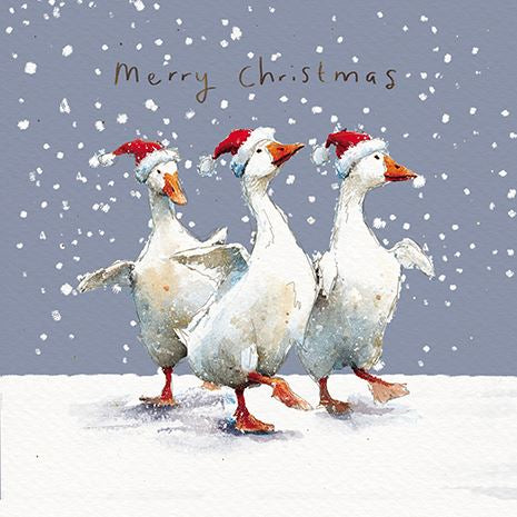 Festive Geese  - Christmas card