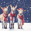 Christmas Singing Donkeys