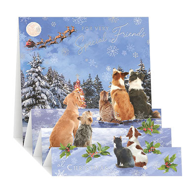 Special Friends,  dogs - pop up Christmas card
