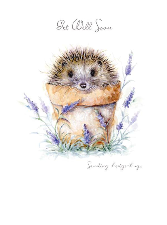 Sending hedge-hugs - get well card